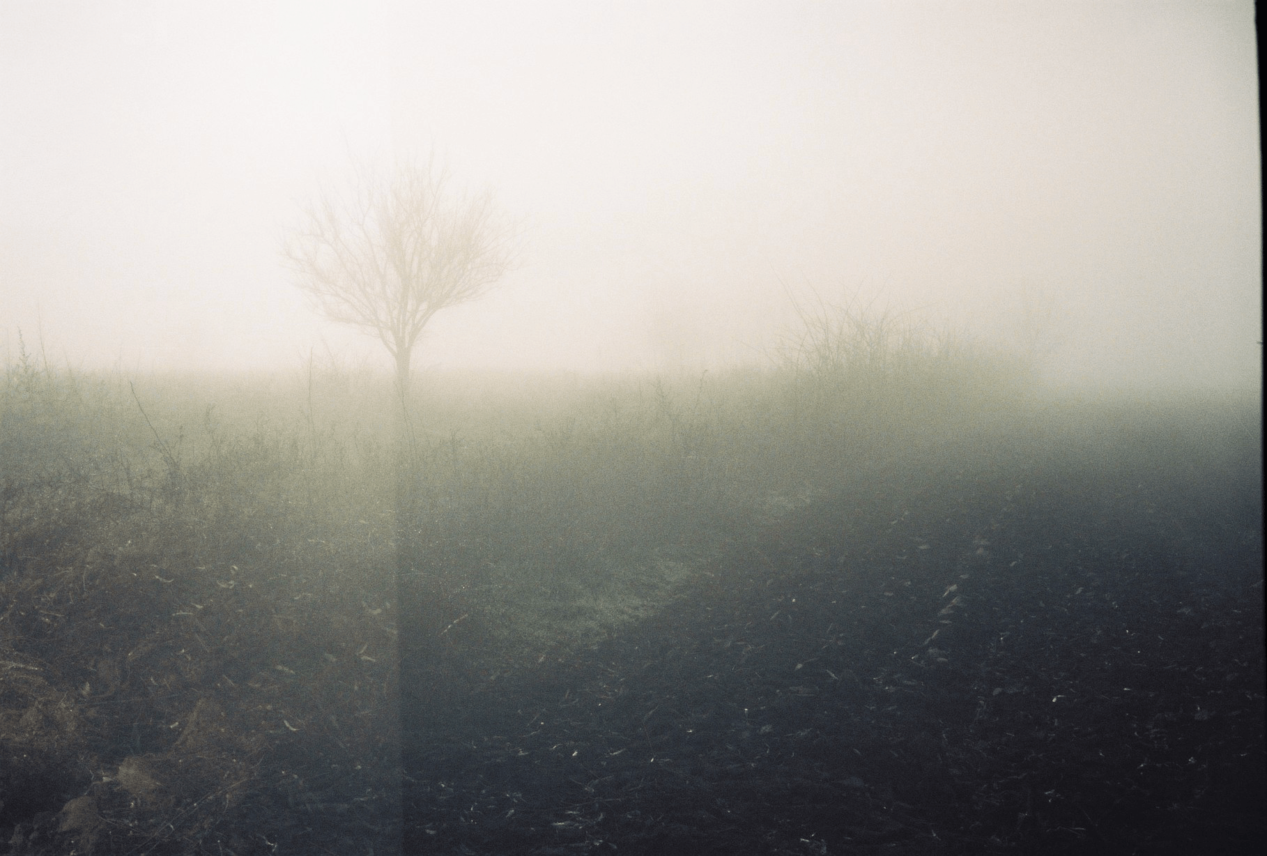 Photo of foggy field, with film artefacts, prominent grain, with an eery feel.