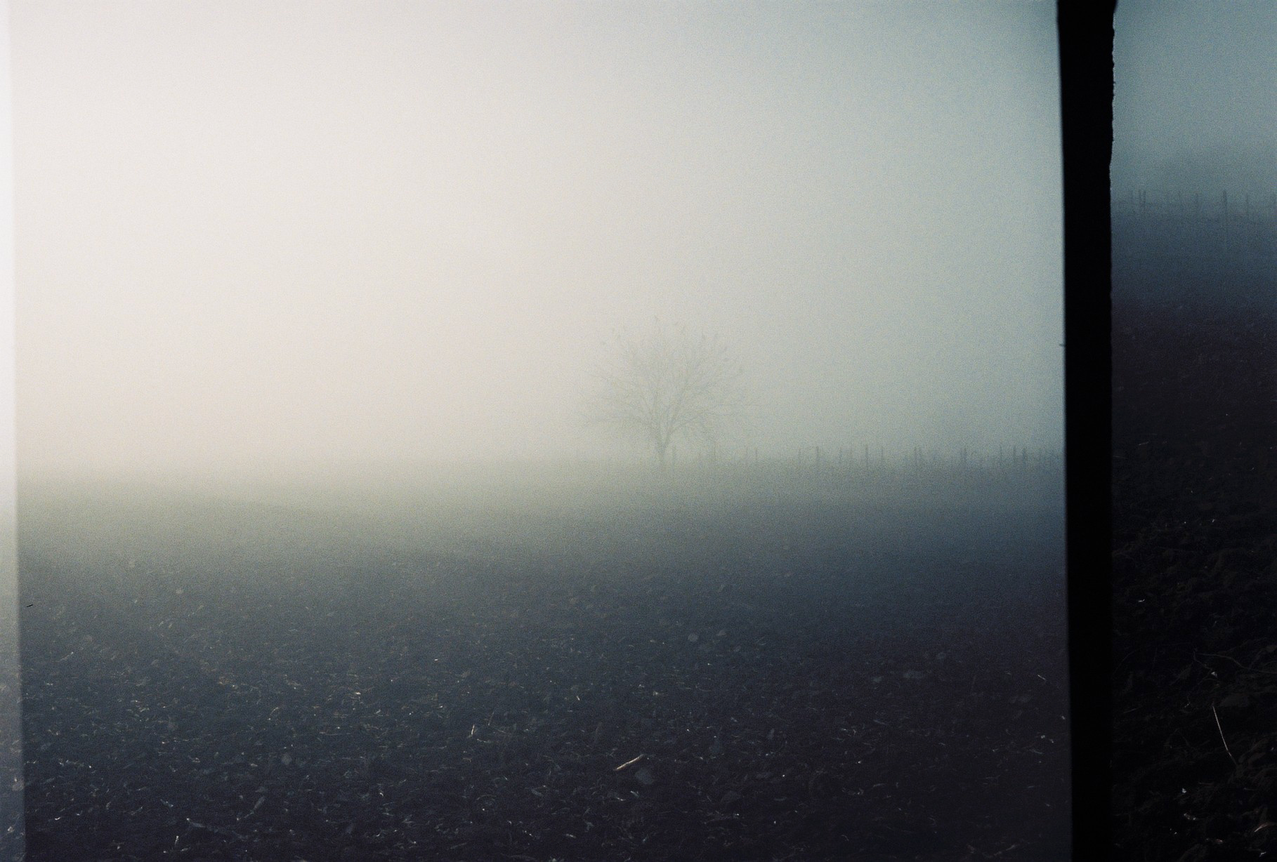 Photo of foggy field, with film artefacts, prominent grain, with an eery feel.