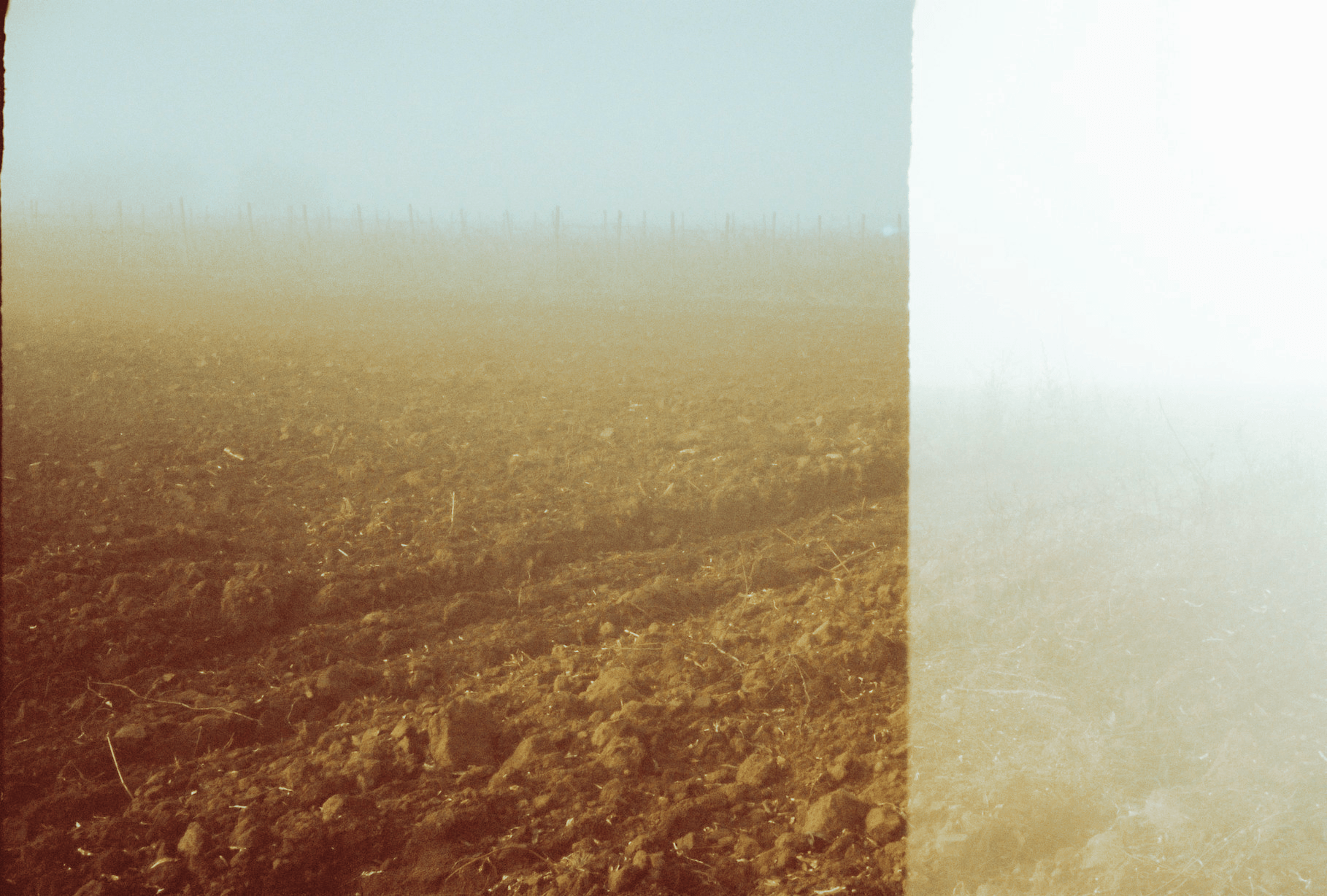 Photo of foggy field, with film artefacts, prominent grain, with an eery feel.