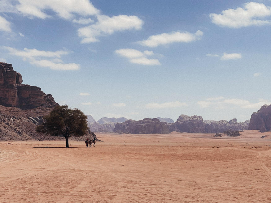 Photo of desert with lots of empty space and mountains